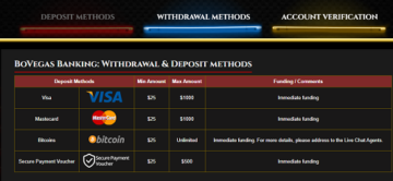 Bovegas Casino Deposit Methods